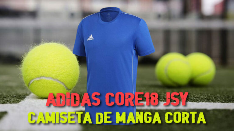 Camiseta de deporte Adidas Core18 JSY