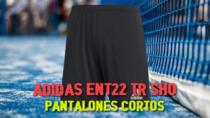 Pantalones cortos ADIDAS Ent22 TR SHO